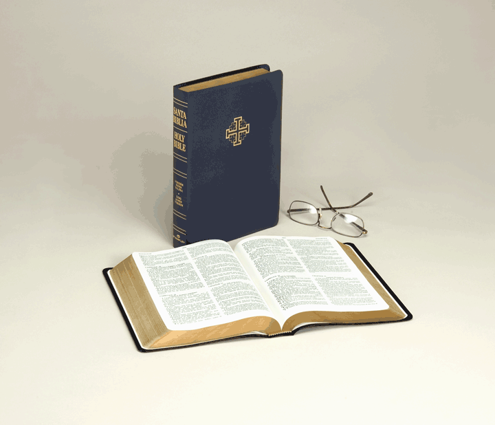 Stampley Bilingual Bible