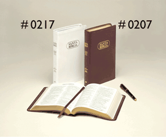 Spanish Study Bibles
