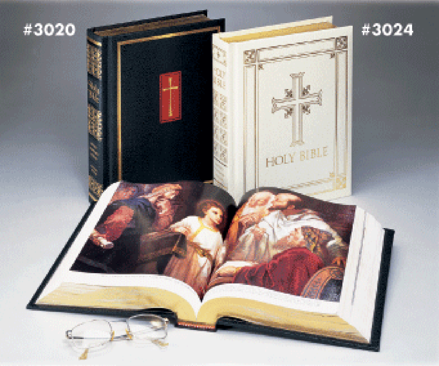 Deluxe Catholic Family Bible